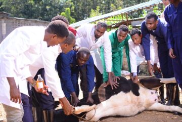Animal Health and Production